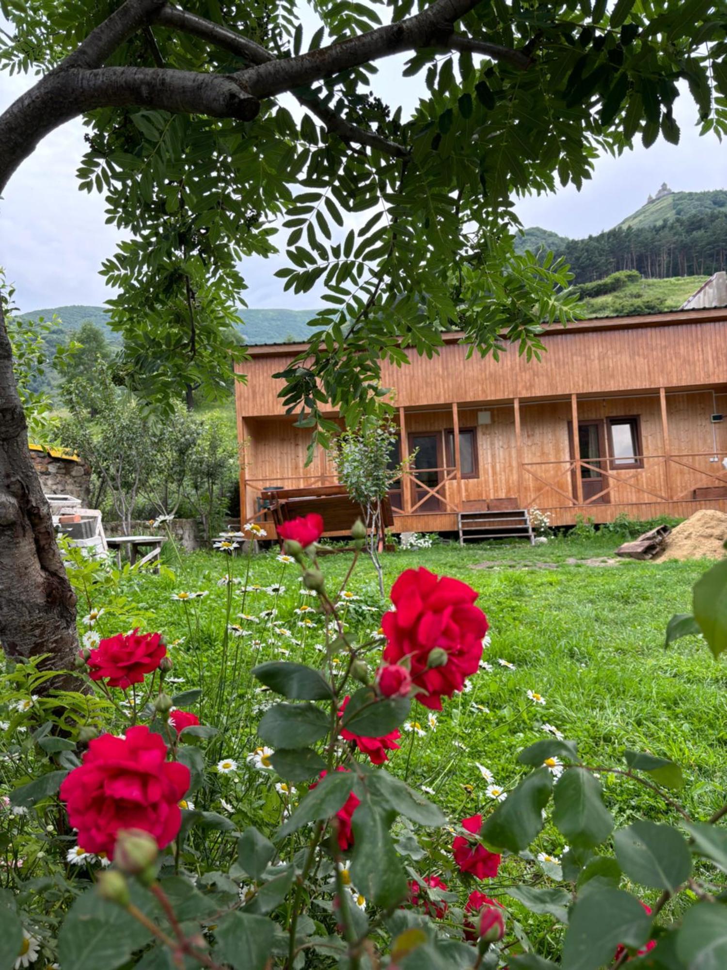 Family Hostel Nika Kazbegi Exterior foto